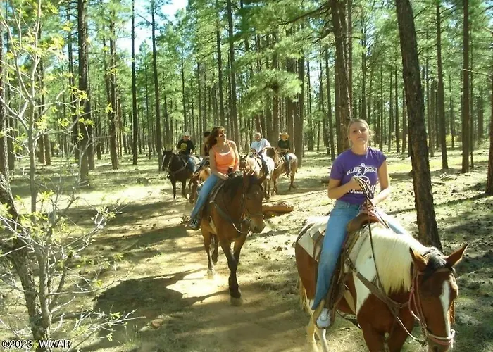 Embrace The Fore Seasons In Pinetop! *